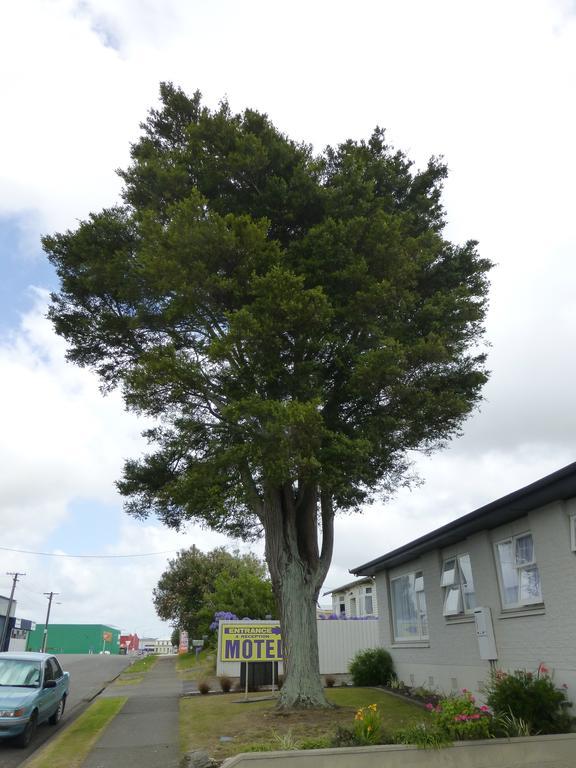 Totara Lodge Motel Levin Luaran gambar